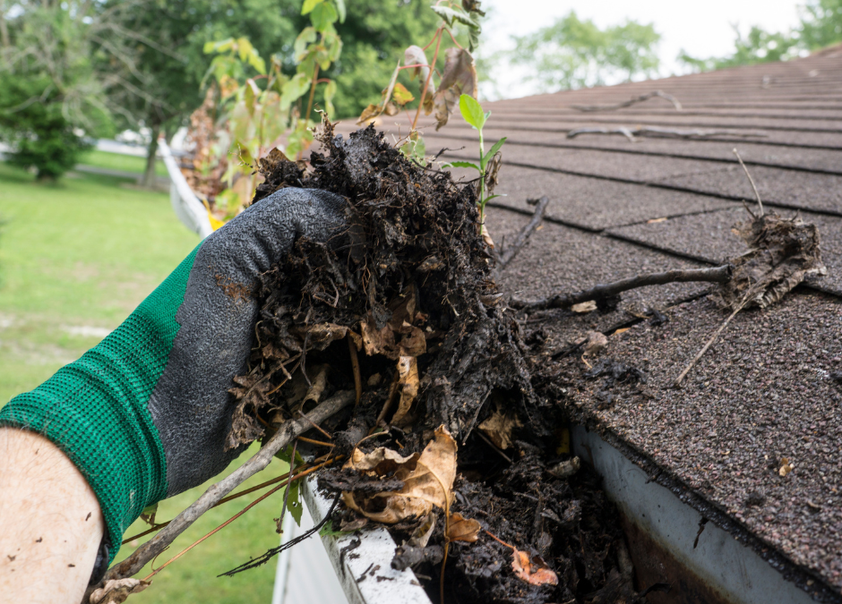 Clean Your Gutters!