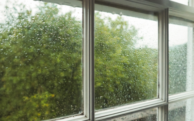 The Benefits of Double-Pane Windows: A Smart Choice for Your Replacement Needs