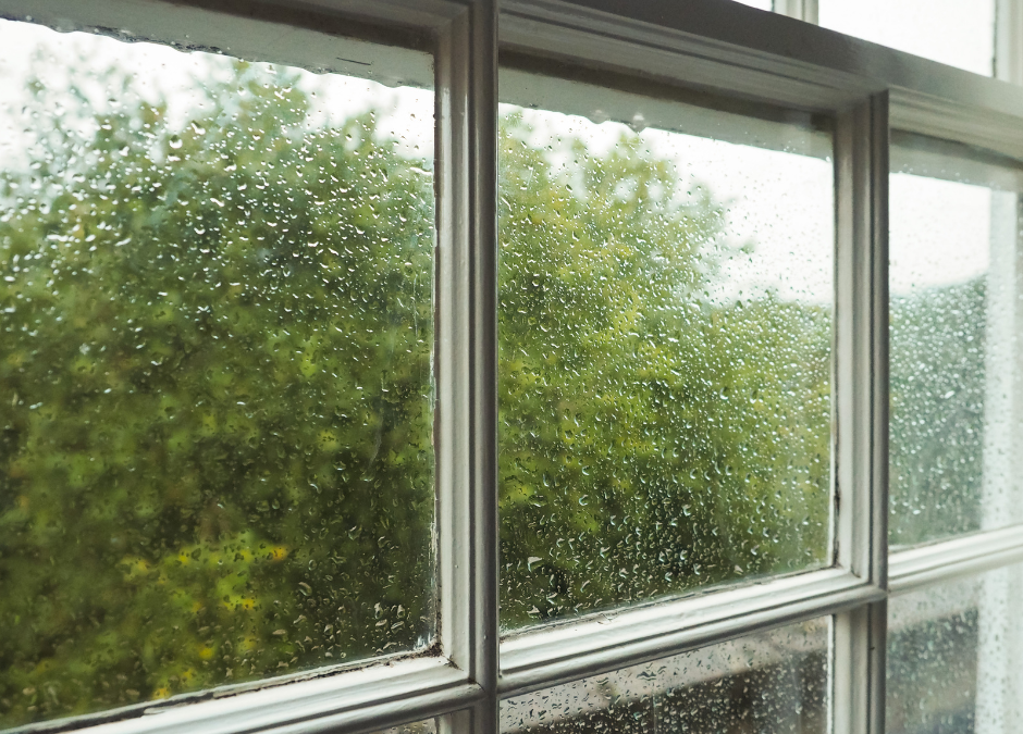 The Benefits of Double-Pane Windows: A Smart Choice for Your Replacement Needs